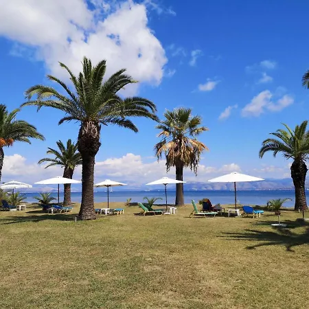 Irini-studio 8 * 卡沃斯